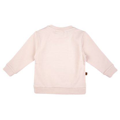 24034001 Frogs and Dogs turtle sweat shirt sea life achterkant