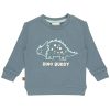 25026003 Frogs and Dogs sweater dino buddy voorkant