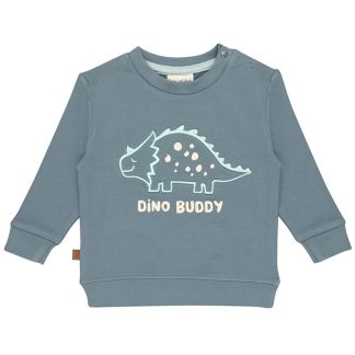 25026003 Frogs and Dogs sweater dino buddy voorkant