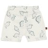 25026005 Frogs and Dogs korte broek aop dino nice team achterkant