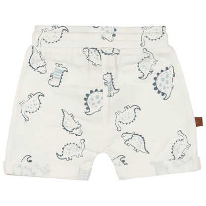 25026005 Frogs and Dogs korte broek aop dino nice team achterkant