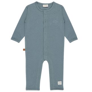 25026008 Frogs and Dogs boxpak goblin blue nice team voorkant