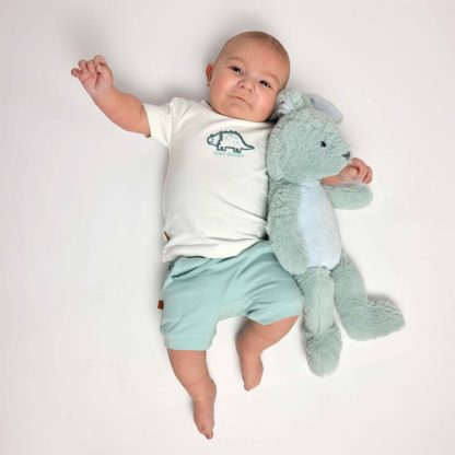 25026012 Frogs and Dogs t-shirt dino buddy nice team sfeerfoto