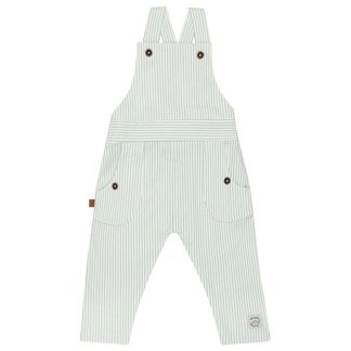 25026013 Frogs and Dogs tuinbroek stripes nice team voorkant