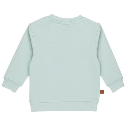 25026014 Frogs and Dogs sweater dino nice team achterkant