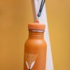 2610197 Trixie drinkfles RVS Mr Fox 350ml sfeerfoto