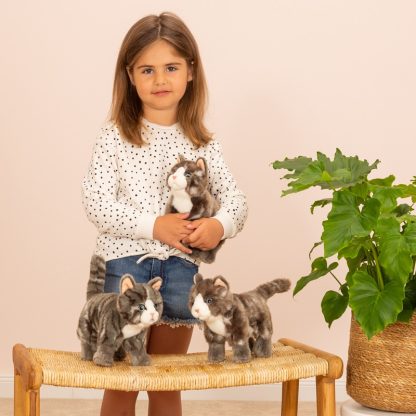 918226 Hermann Teddy Collection kat staand grijs tabby sfeerfoto met meisje