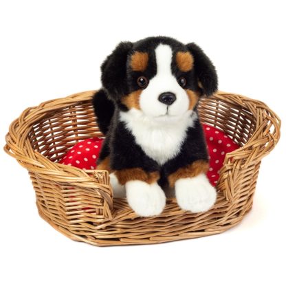 919728 Hermann Teddy Collection Berner Sennenhond zittend hond in mand