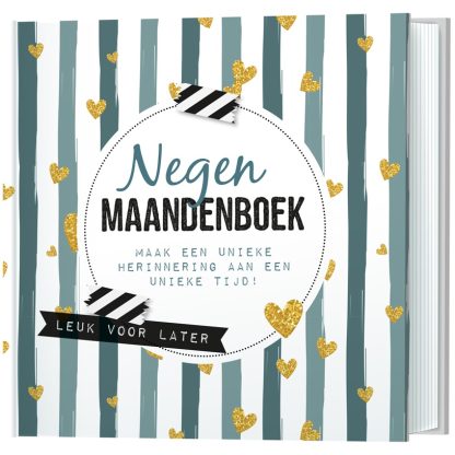 Lantaarn | negen maandenboek