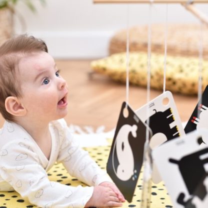 Banana Panda | flashkaarten met hoog contrast 3m+ - Afbeelding 6