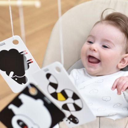 Banana Panda | flashkaarten met hoog contrast 3m+ - Afbeelding 5