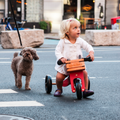 Kinderfeets houten fietskrat sfeerfoto buiten
