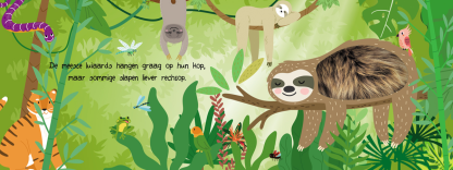 Lantaarn | kijk en voelboek jungledieren - Afbeelding 3