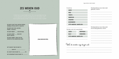 Lantaarn | babyboek mijn eerste jaar - Afbeelding 5