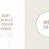 Lantaarn | babyboek mijn negen maanden - Afbeelding 6