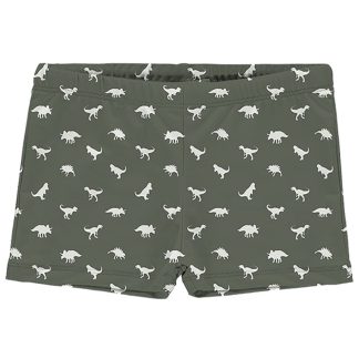 SL51000028 Slipstop zwembroek nappy trunk dino green