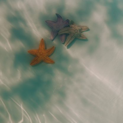 Swim Essentials opduik speelgoed zeesterren sfeerfoto onder water