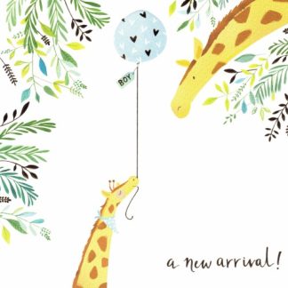 Overig | wenskaart a new arrival