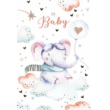 Lannoo Cards | wenskaart een baby