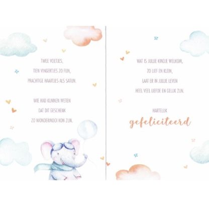 Lannoo Cards | wenskaart een baby - Afbeelding 2