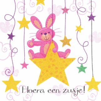 By Noé | wenskaart hoera een zusje